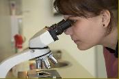 Mikrobiyolojik Ürünler Mikrobiyolojik Test Kitleri Mikrobiyolojik Kullanma Hazr Besiyerleri